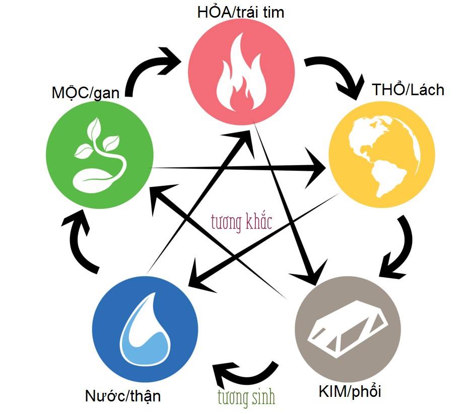 âm dương ngũ hành, quan hệ trong đông y (p3.1 tâm-tim)